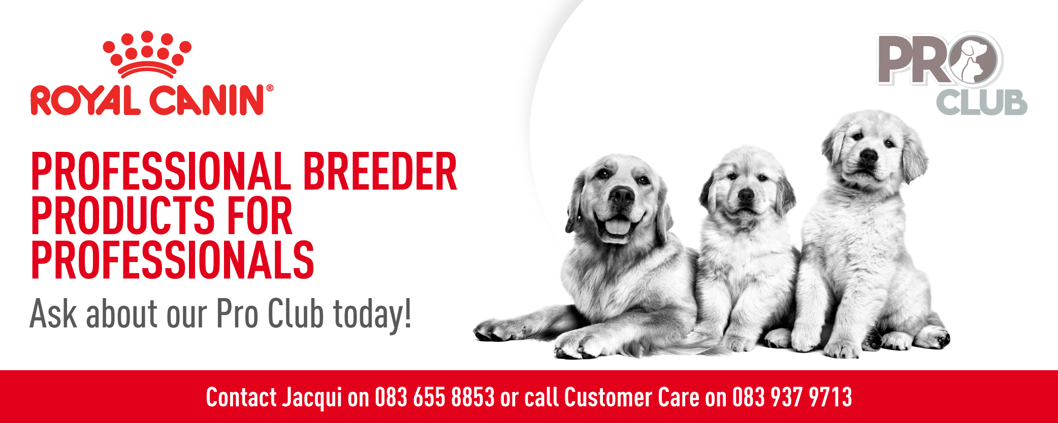1003RC Kusa Website Royal Canin V4 Professional Breeder Products for Professionals