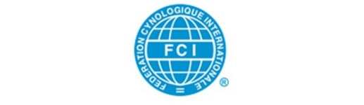 514248415 1143882787770201 8927320098830055271 n