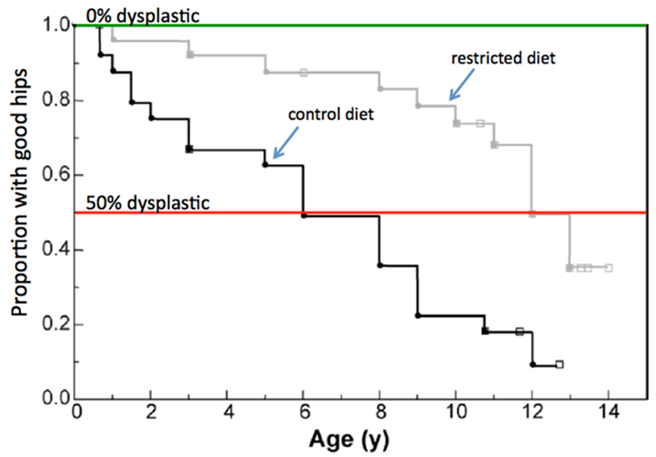 age weight factor for hip dysplasia graph