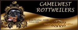 CAMELWEST (Rottweiler)
