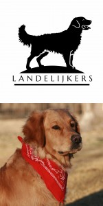 LANDELIJKERS (Golden Retriever)