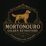 MORTONOURO (Golden Retriever)