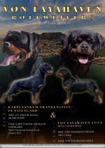 VON FAYAHAVER (Rottweiler)