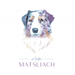 VON MATSLIACH (Australian Shepherd)