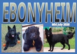 EBONYHEIM (German Shepherd)