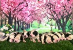 GWENEVRE (Saint Bernard)