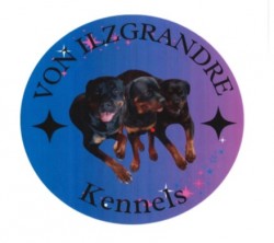 VON ILZGRANDRE (Rottweiler)